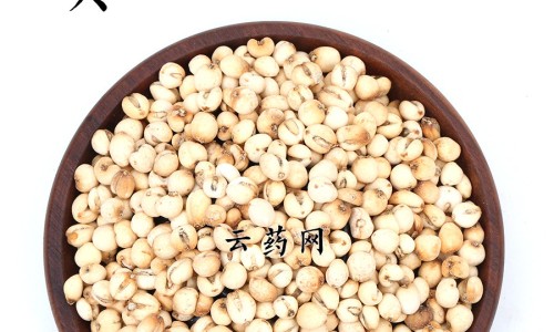 野沙参的功效与作用-专业野山参粉的功效与作用平台-野沙参的功效与作用图片