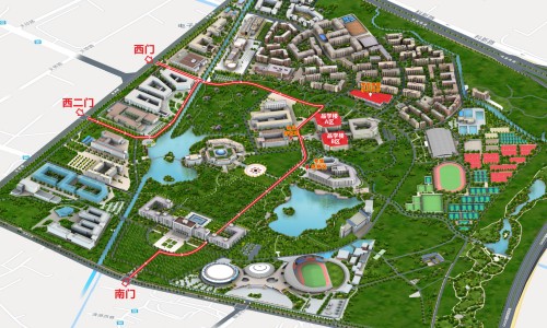 野山参的功效和作用-野沙参的功效与作用-专业野山参粉的功效与作用平台-野沙参的功效与作用图片